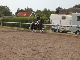 img_9665_web